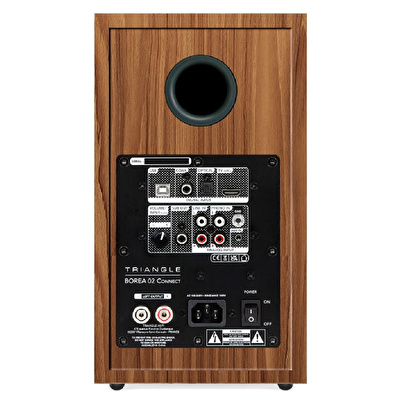 Triangle Borea Connect O2 Green Ash Bluetooth Raf Tipi Hoparlör